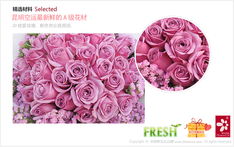 2012七夕情人节礼物推荐:33枝紫玫瑰，粉色勿忘我围绕。_紫色恋曲