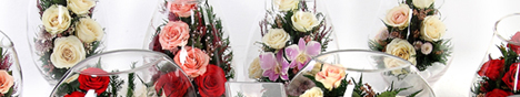 
2012七夕情人节礼物推荐:礼品/爱是唯一:精选绽放优美的红玫瑰一枝，配叶勿忘我及绿叶适量，
在