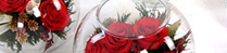 
2012七夕情人节礼物推荐:礼品/一路上有你:精选绽放优美的红玫瑰5枝，配叶适量，在采摘后一个小时内用荷兰