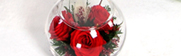 
2012七夕情人节礼物推荐:礼品/一路上有你:精选绽放优美的红玫瑰5枝，配叶适量，在采摘后一个小时内用荷兰