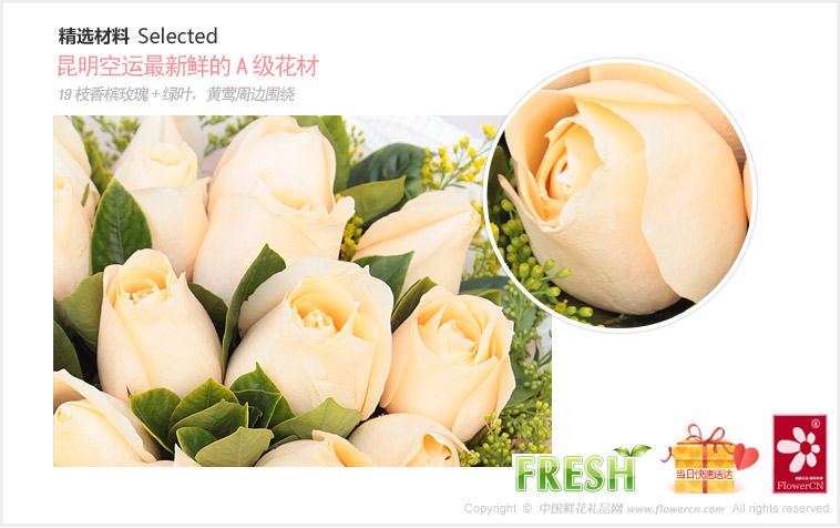 2012七夕情人节礼物推荐:19枝香槟玫瑰+绿叶，黄莺周边围绕。_品味