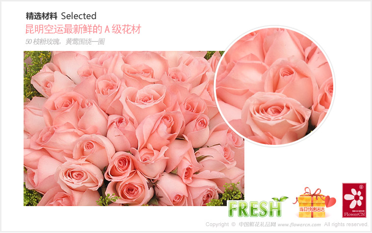 2012七夕情人节礼物推荐:50枝粉玫瑰，黄莺围绕一圈_粉色浪漫