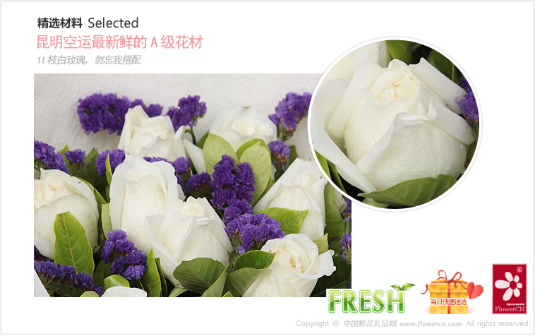 2012七夕情人节礼物推荐:11枝白玫瑰，搭配紫色勿忘我,适量绿叶_纯纯的爱
