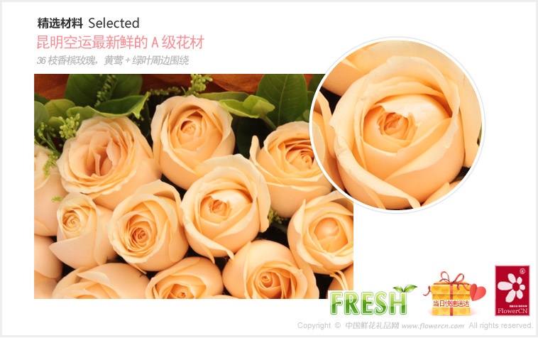 2012七夕情人节礼物推荐:36枝香槟玫瑰居中，黄莺+绿叶周边围绕。_浪漫的味道