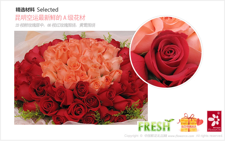 2012七夕情人节礼物推荐:33枝粉玫瑰居中，66枝红玫瑰围绕，外层适量黄莺围绕_浪漫情人99朵玫瑰